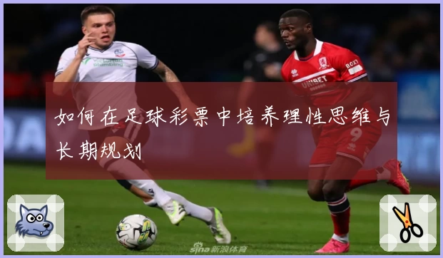 如何在足球彩票中培养理性思维与长期规划