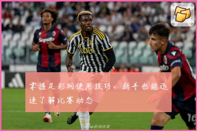 掌握足彩网使用技巧,新手也能迅速了解比赛动态