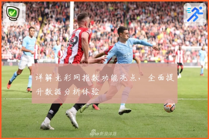 详解竞彩网指数功能亮点，全面提升数据分析体验