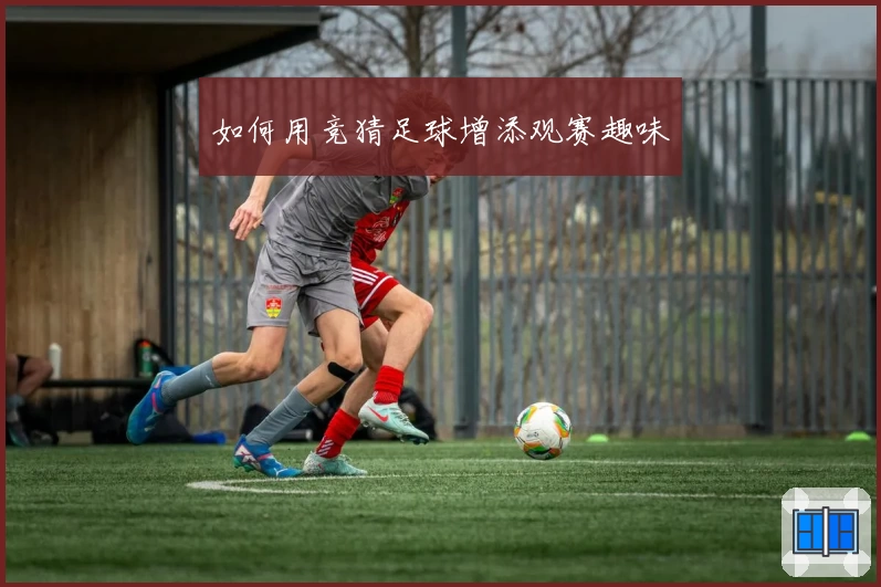 如何用竞猜足球增添观赛趣味